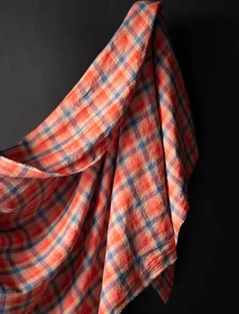 a red and blue checkered blanket hanging on a wall