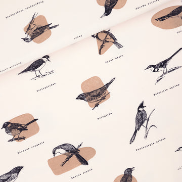 Cotton French Terry Fabric in Ornithology Birds