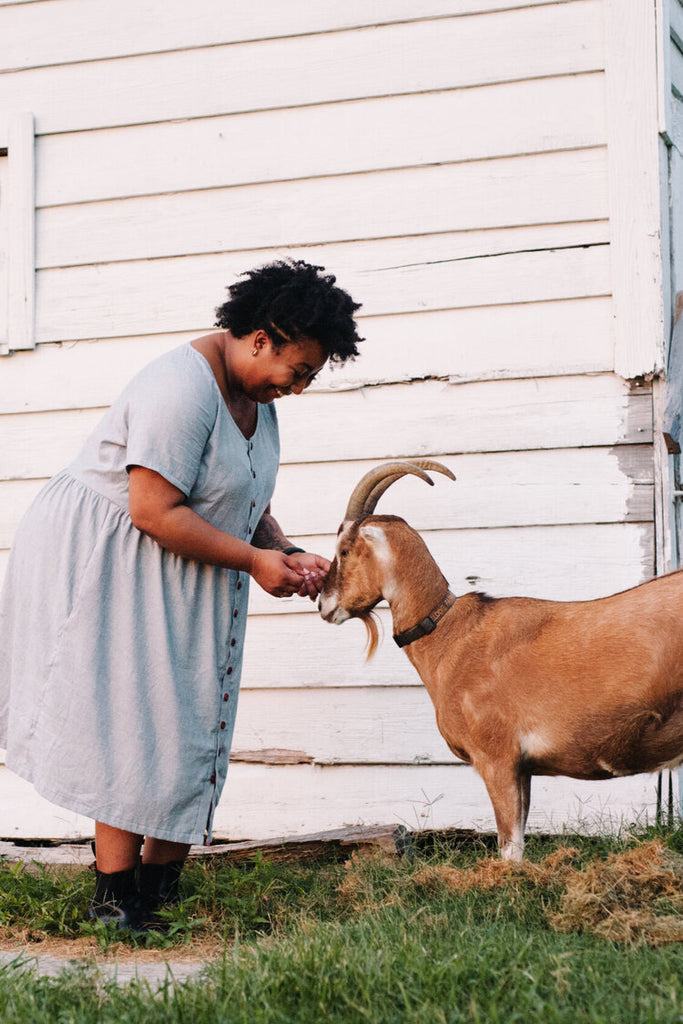 Hinterland Dress Sewing Pattern | Frankie Rose Fabrics